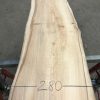 Spalted Elm #082