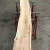 Spalted Elm #082