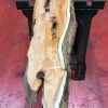 Kiln dried Yew #057