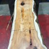 Kiln dried Yew #058