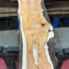 Kiln dried Yew #058