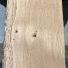 Oak #008/1
