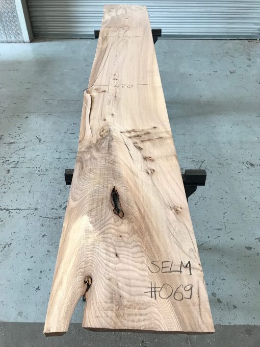Elm #069 kiln dried and thicknessed