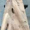 Elm #069 kiln dried and thicknessed