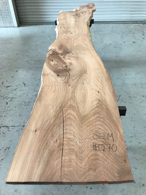 Elm #070 kiln dried and thicknessed