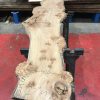 Burr Elm kiln dried plank #026