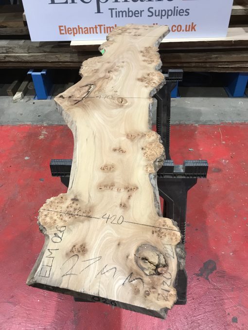 Burr Elm kiln dried plank #026