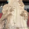 Burr Elm kiln dried plank #026
