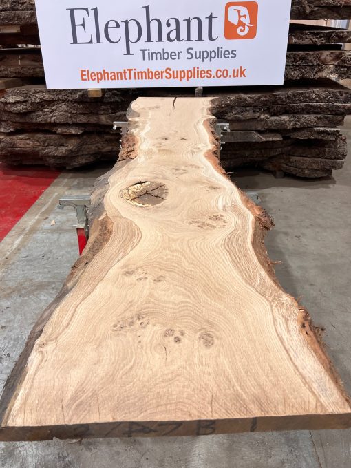 Oak #002 piece of kiln dried wood for sale