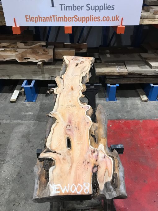 Yew #008 kiln dried plank