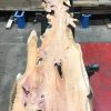 Yew #008 kiln dried plank