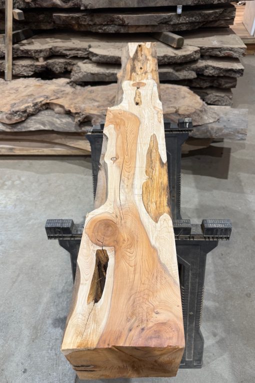 Yew Beam #007
