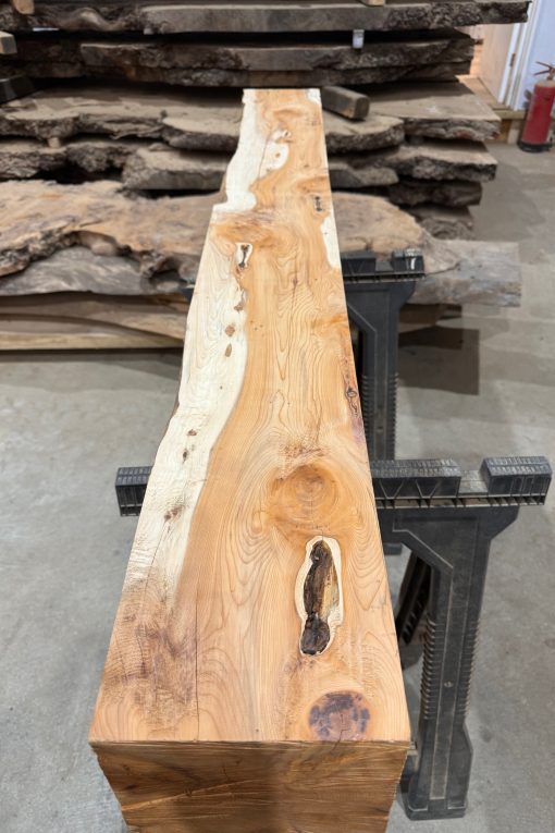 Alternative view of Yew Beam #007