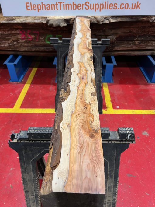Yew Beam #003
