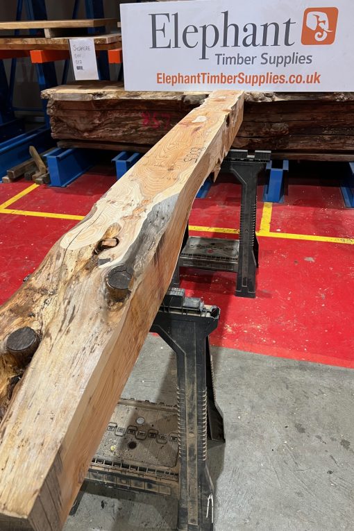 Yew Beam #005