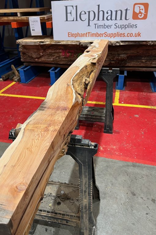 Yew Beam #005