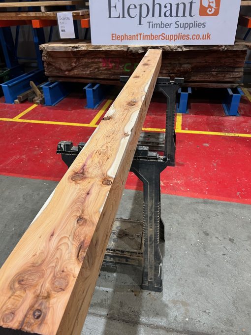 Yew Beam #006