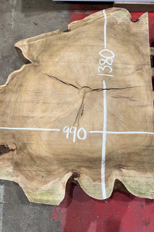 Cedar Ring #1