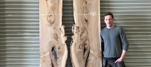 Elm Wood with Costa