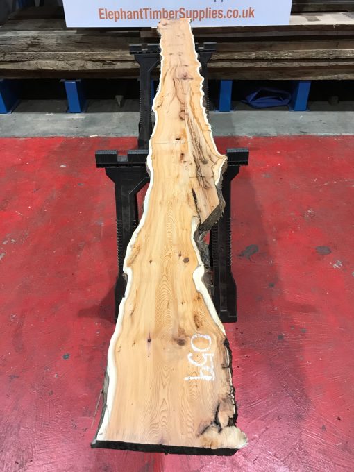Kiln dried Yew #059