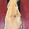 Kiln dried Yew #059