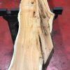 Kiln dried Yew #059