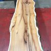 Kiln dried Yew #059
