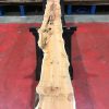 Kiln dried Yew #059