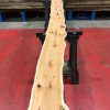 Kiln dried Yew #060