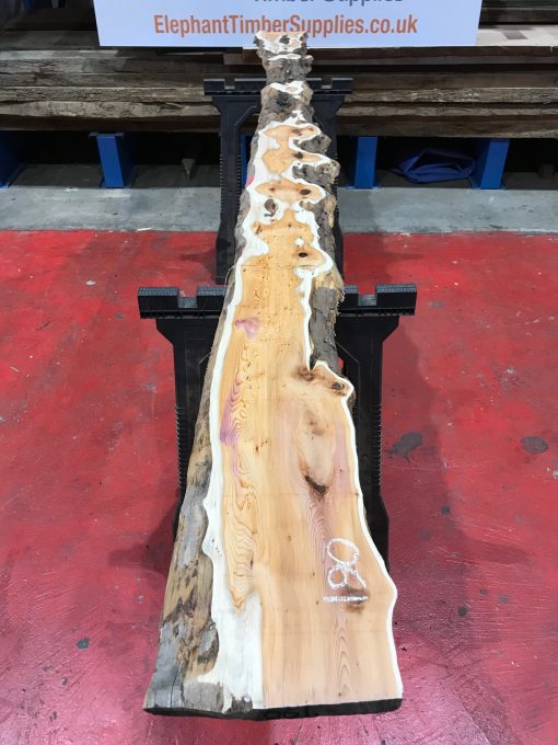 Kiln dried Yew #061