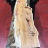 Kiln dried Yew #061