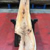 Kiln dried Yew #062