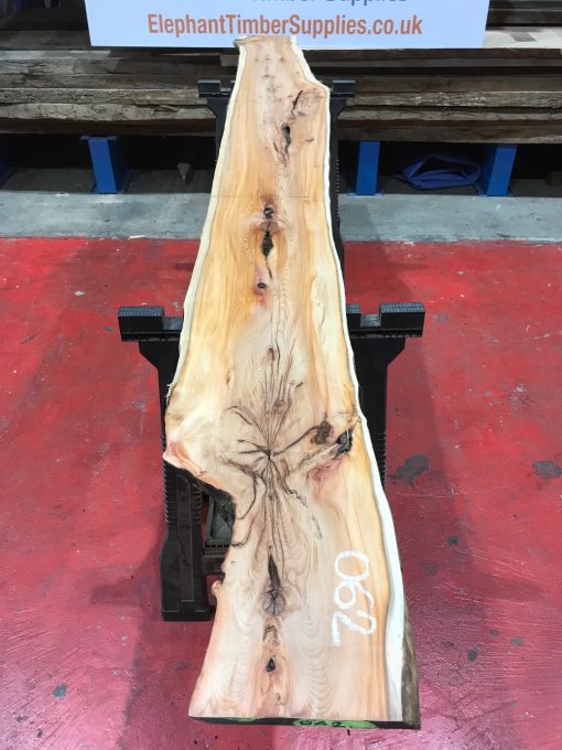 Kiln dried Yew #062