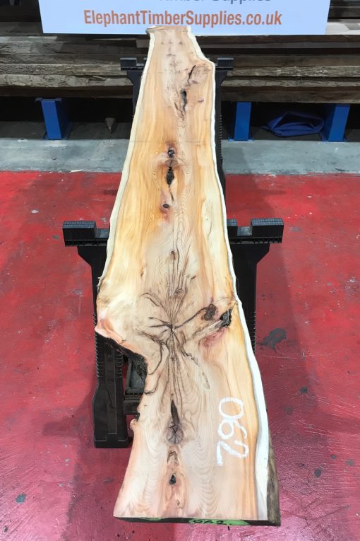 Kiln dried Yew #062