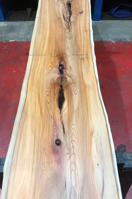 Kiln dried Yew #062