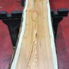 Kiln dried Yew #063