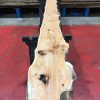 Kiln dried Yew #064