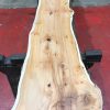 Kiln dried Yew #064