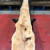 Kiln dried Yew #064