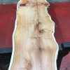 Kiln dried Yew #065
