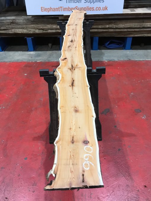Kiln dried Yew #066