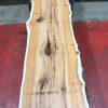 Kiln dried Yew #066