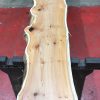 Kiln dried Yew #067