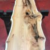 Kiln dried Yew #068