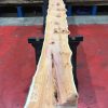 Kiln dried Yew #069