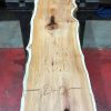 Kiln dried Yew #069