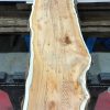 Kiln dried Yew #069