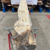 Oak Beam 2480 x 250 x 245. Air dried for 3 years.