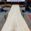 Sweet Chestnut #005