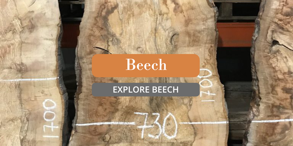 Beech Timber